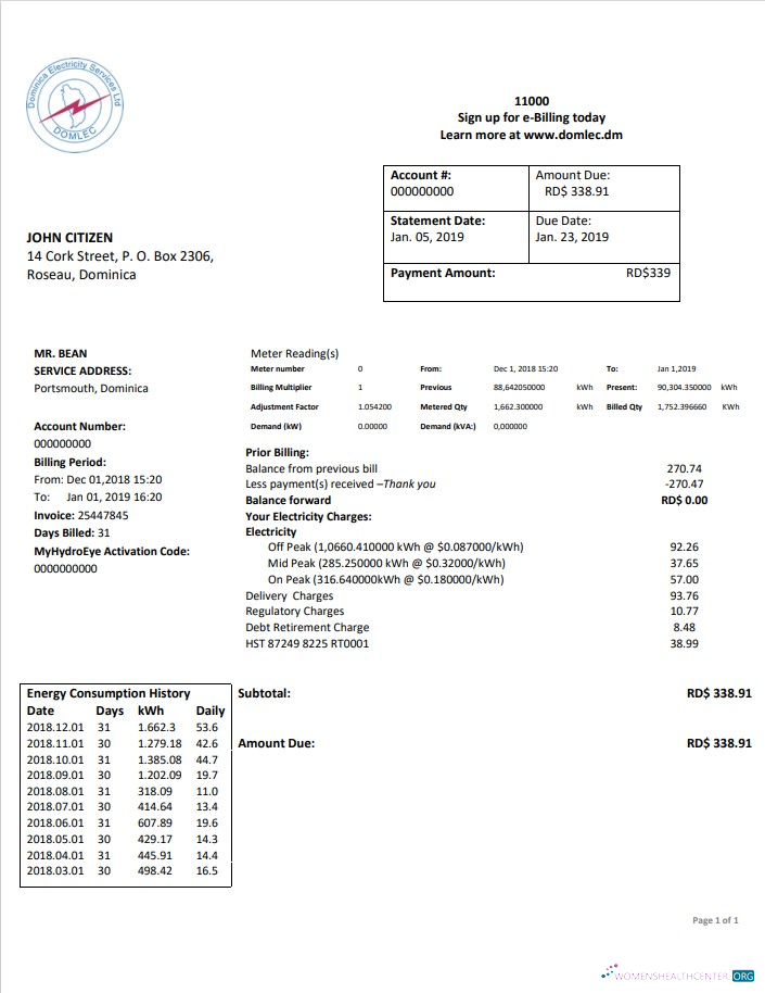 download Dominica Electricity Services Limited electricity utility bill template in Word and PDF format PDF template